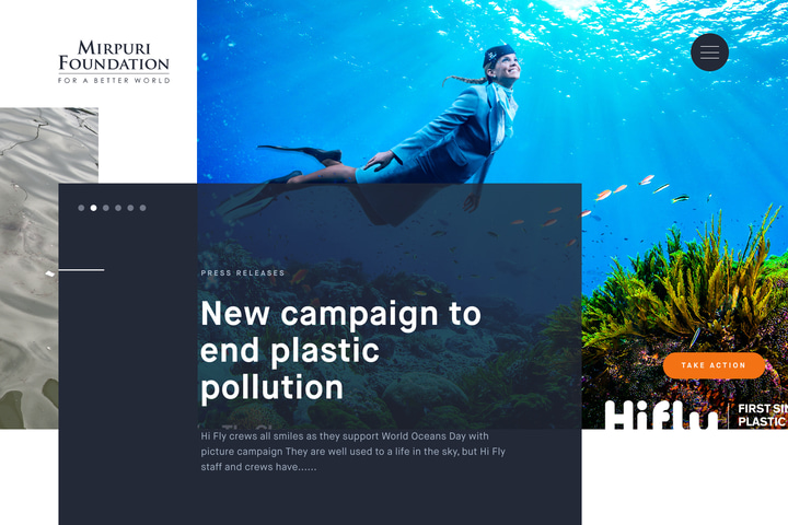 Mirpuri Foundation website preview